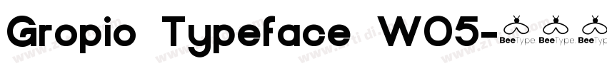 Gropio Typeface W05字体转换
